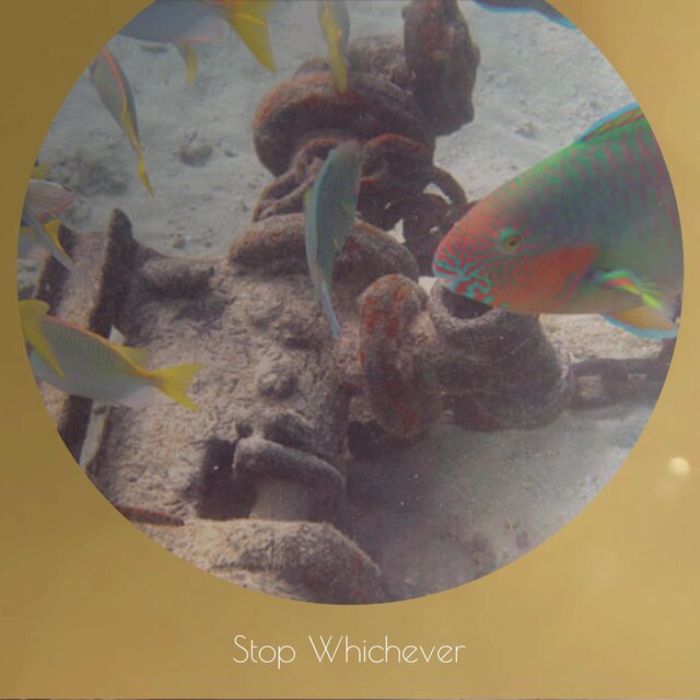 Stop Whichever