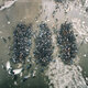 Cover art for album Alone Together by Show Me the Body