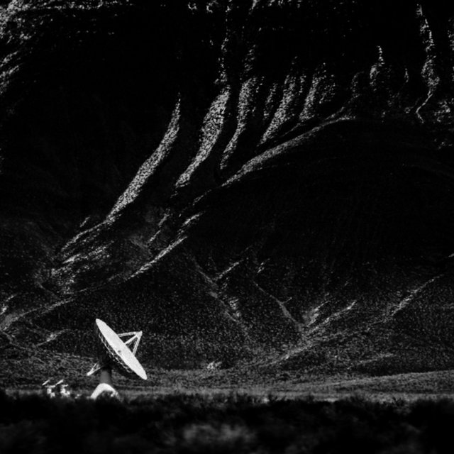 The Signal