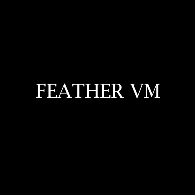 F.E.A.T.H.E.R. V.M.