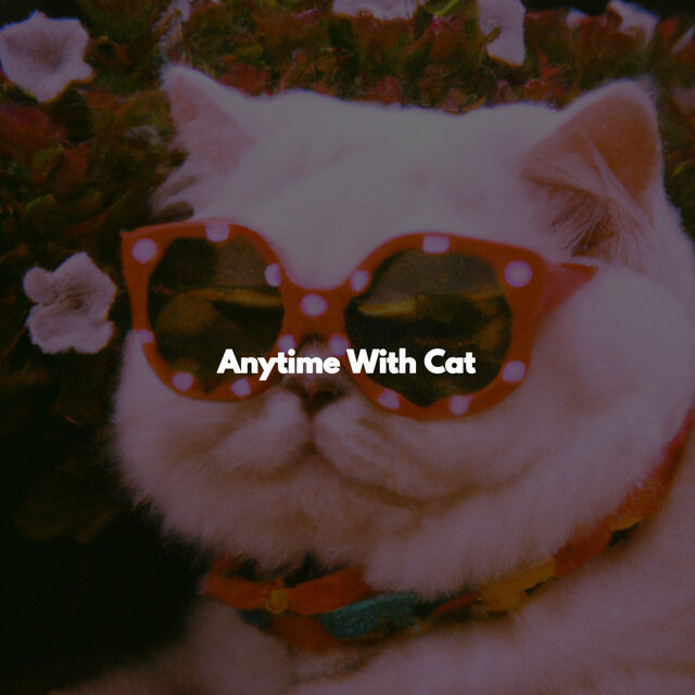 Anytime With Cat