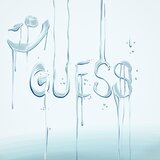GUESS