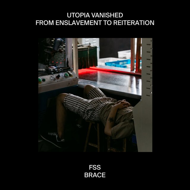 Brace