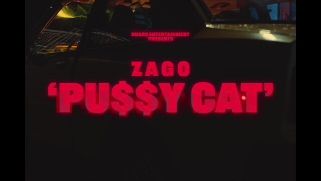 PU$$Y CAT (Visualizer)