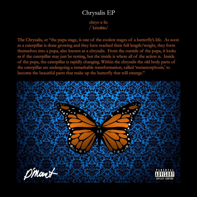 Chrysalis