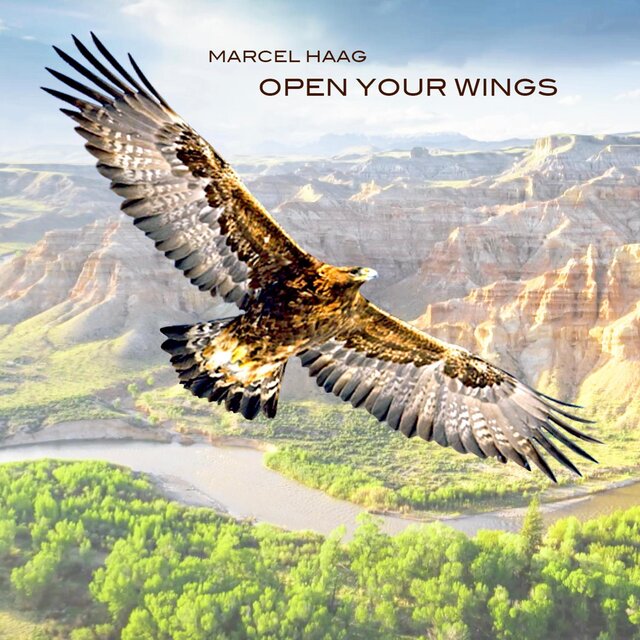 Open Your Wings