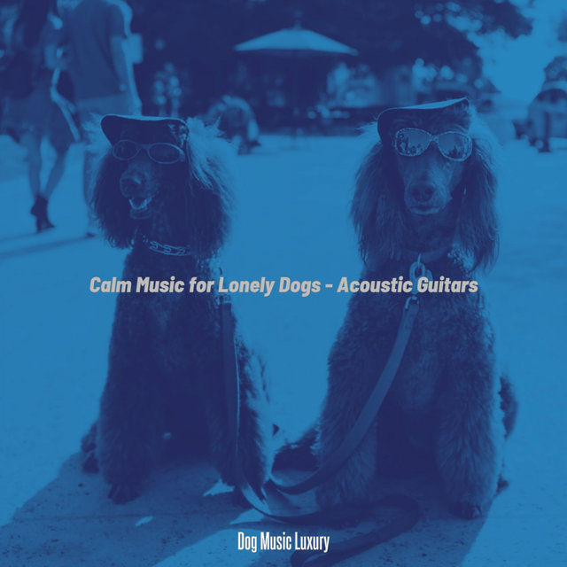 Calm Music for Lonely Dogs - Acoustic Guitars