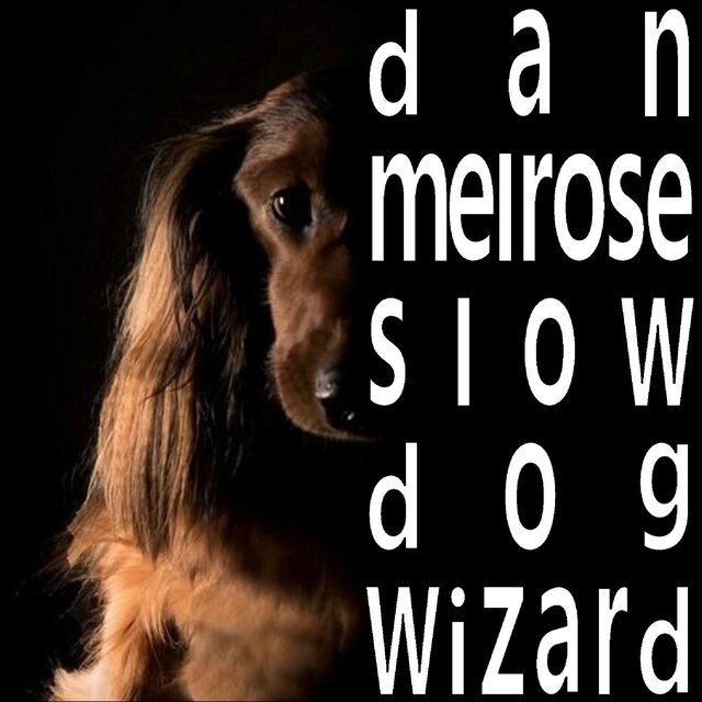 Slow Dog Wizard