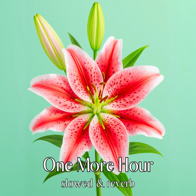 One More Hour (Slowed & Reverb)