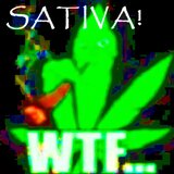Sativa! (feat. Die Charlotte & SadKunk)