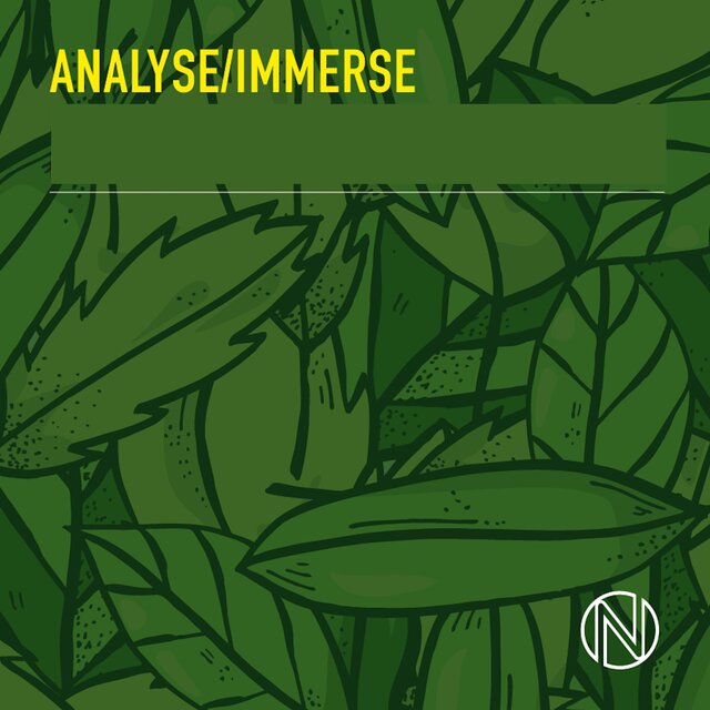 Analyse Immerse
