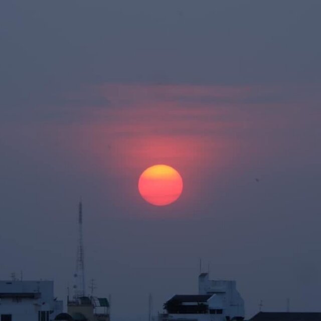 นอและเพื่อน