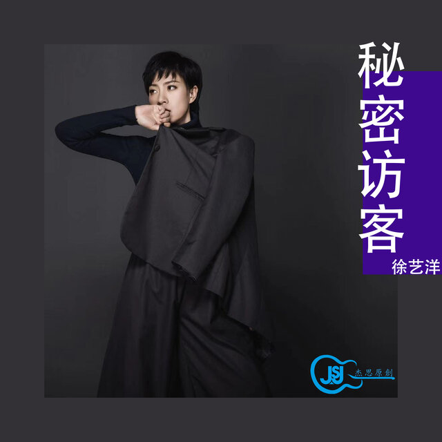 秘密访客