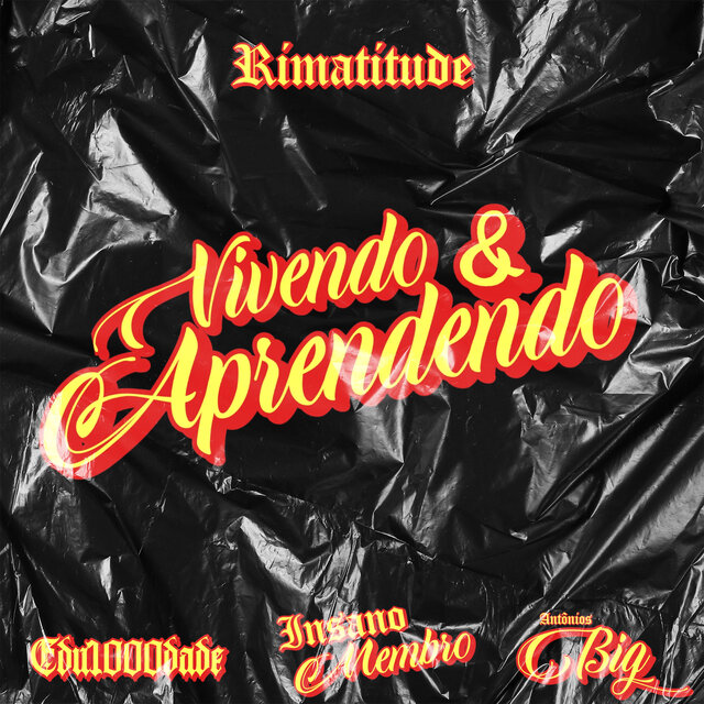 Vivendo e Aprendendo