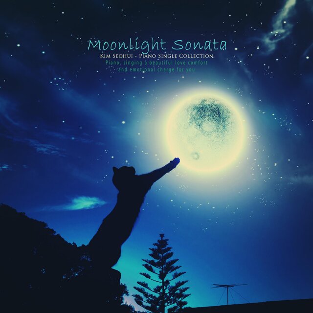 Moonlight Sonata