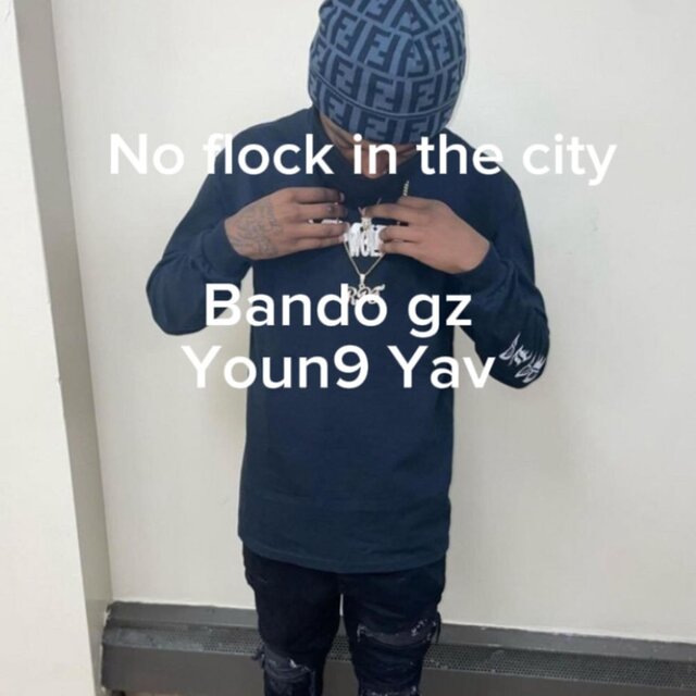 No Flock in The City