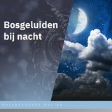 Nachtlichten
