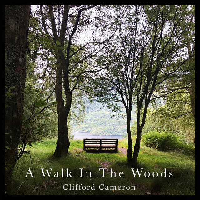 A Walk In The Woods