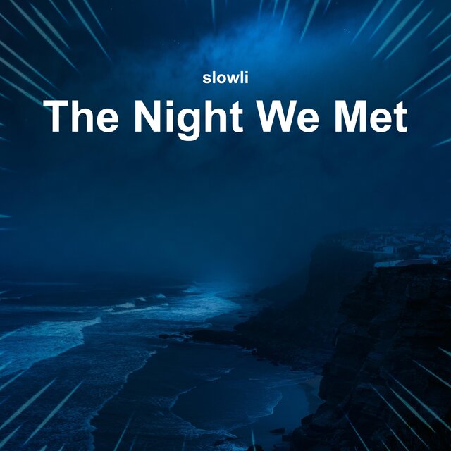 The Night We Met (Slowed + Reverb)