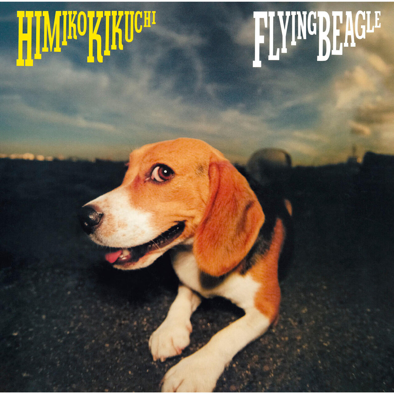 FLYING BEAGLE / Himiko Kikuchi - TIDAL