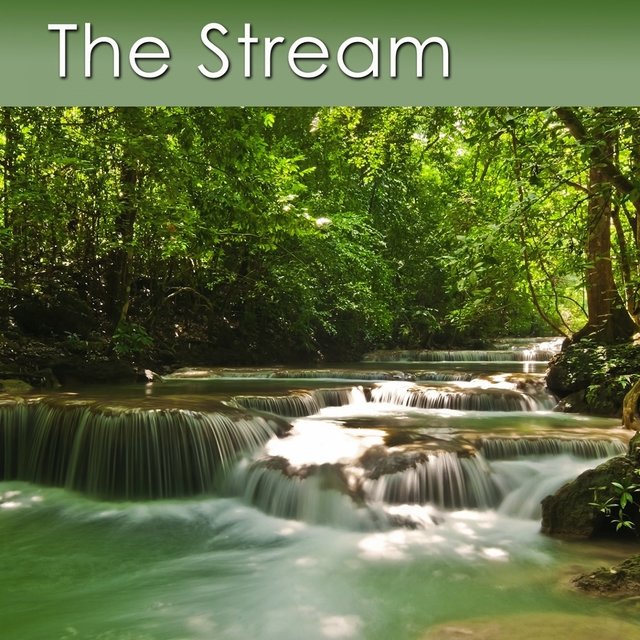 The Stream (Relaxing Music with the Healing Sounds of a Stream)