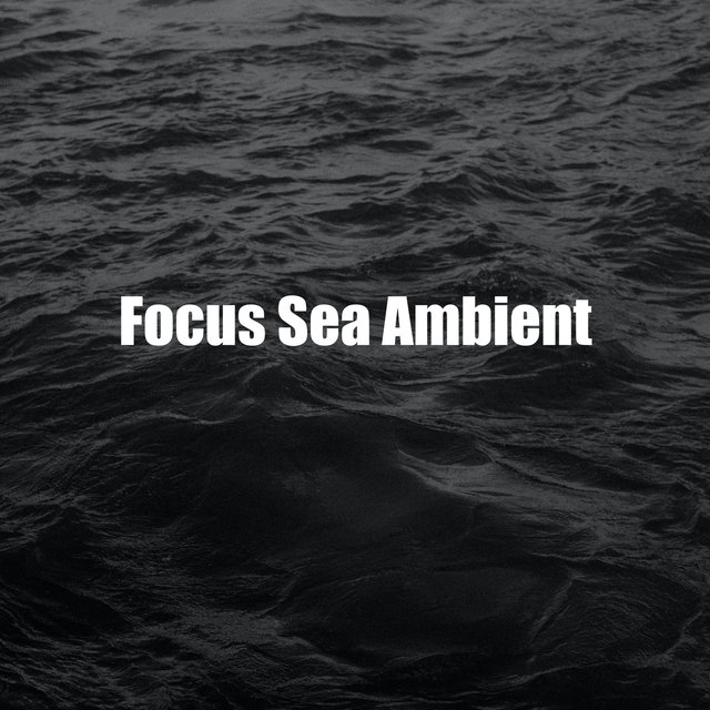 Focus Sea Ambient