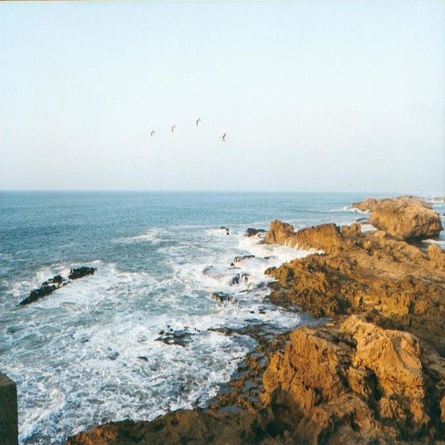 I've Never Been to Essaouria :