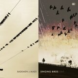 Singing Birds