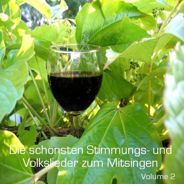 Die Schönsten Stimmungs-Volkslieder zum Mitsingen - Teil 2