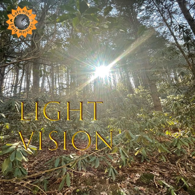 LIGHT VISION
