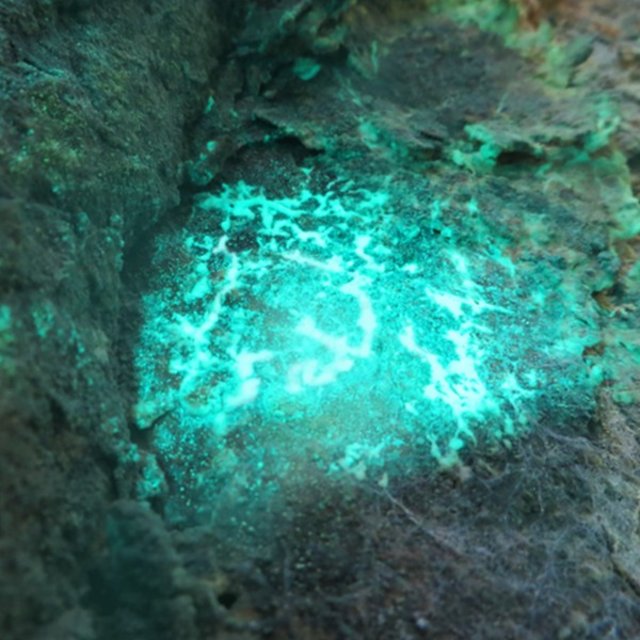 Uranus