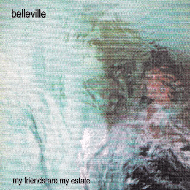 My Friends Are My Estate