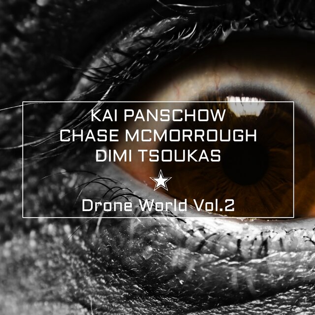 Drone World Vol.2