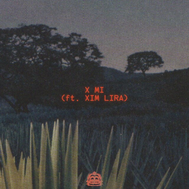 X MI (feat. Xim Lira)