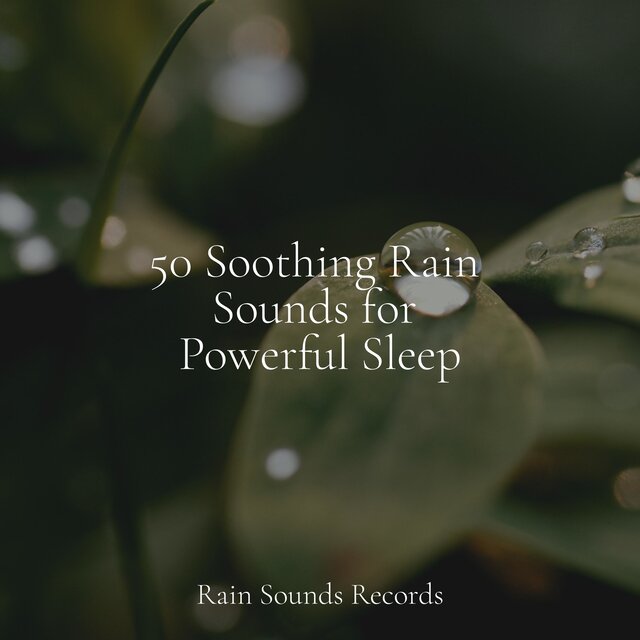 50 Soothing Rain Sounds for Powerful Sleep