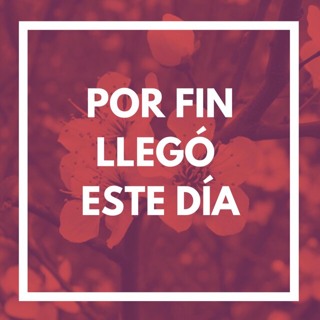 Por Fin Llegó Este Día