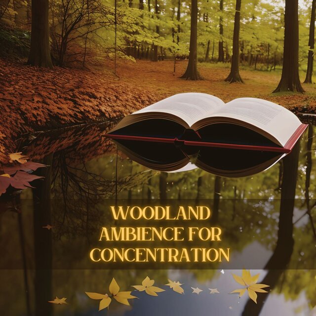 Woodland Ambience for Concentration: Peaceful Ambience for Rapid Reading and Memorization