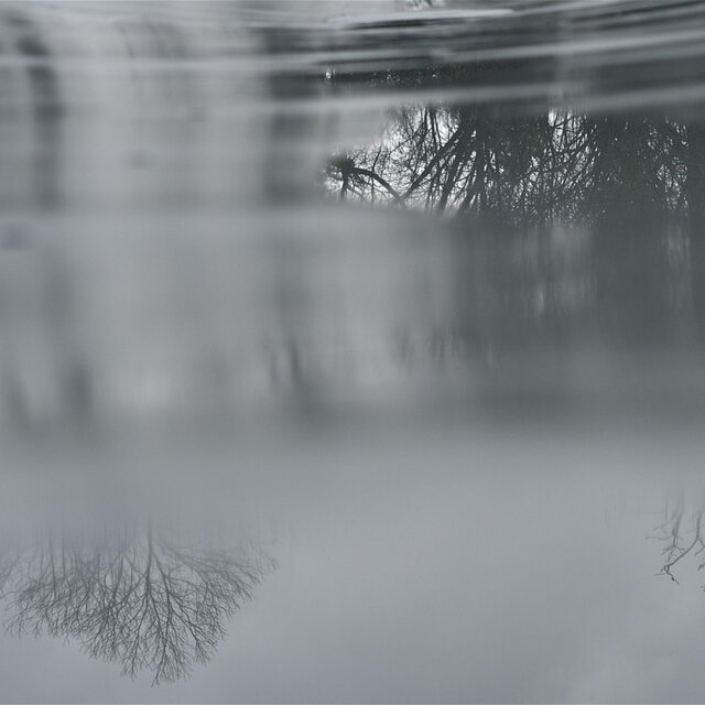 petrichor