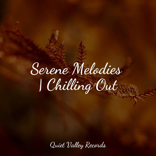 Serene Melodies | Chilling Out