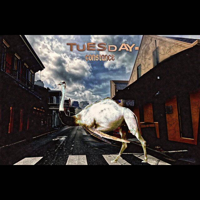 Tuesday.