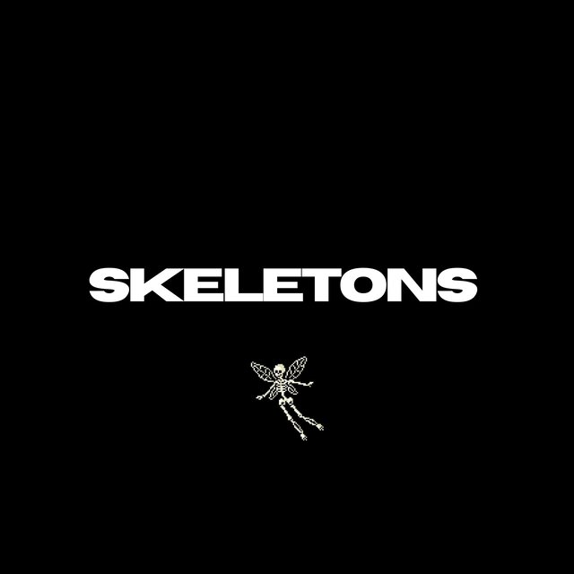 SKELETONS