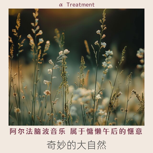 阿尔法脑波音乐 属于慵懒午后的惬意｜奇妙的大自然