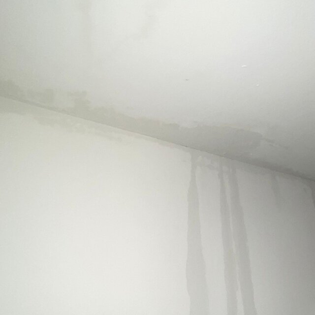 SS