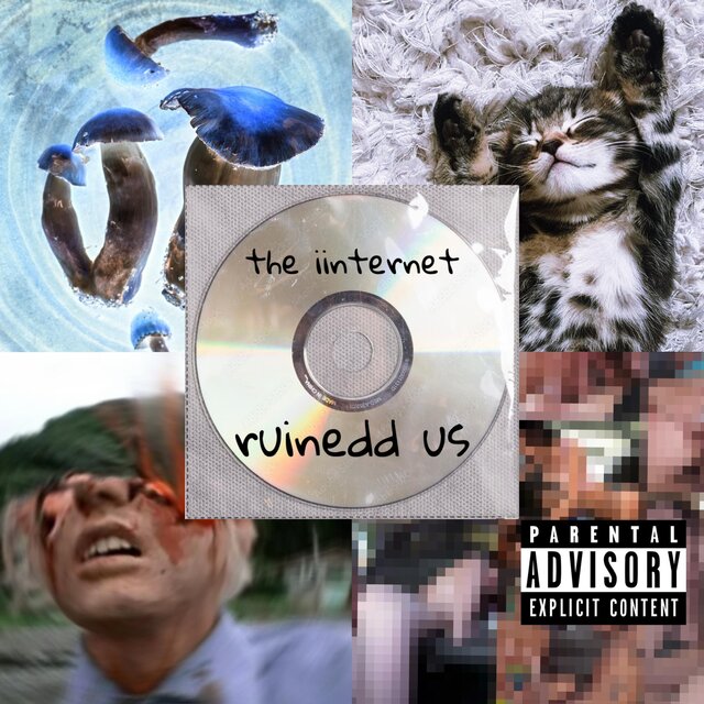 the iinternet ruinedd us