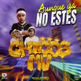 Aunque Ya No Estes