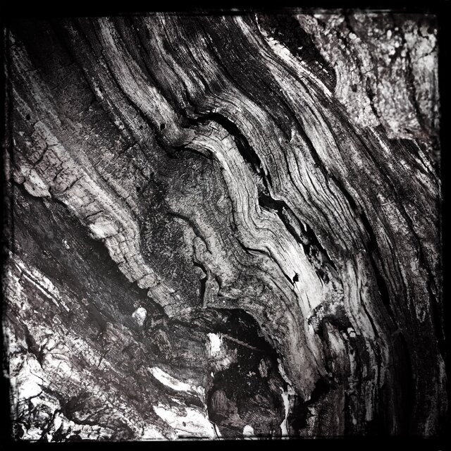 Streams Of Consciousness 241211