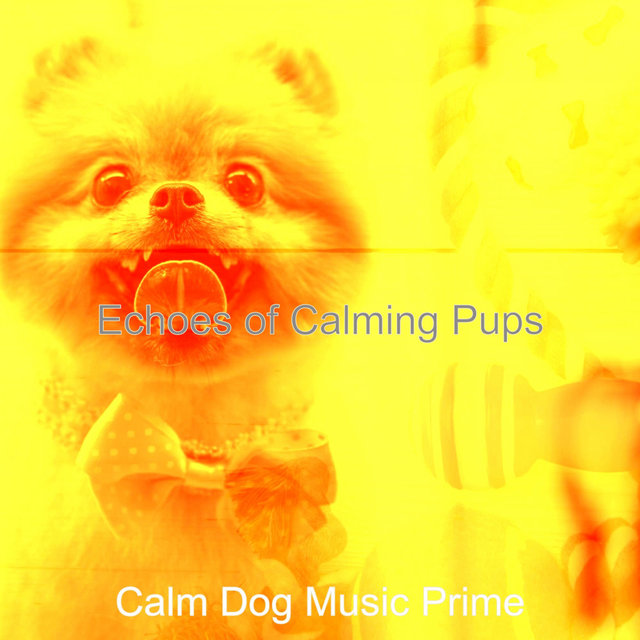 Echoes of Calming Pups