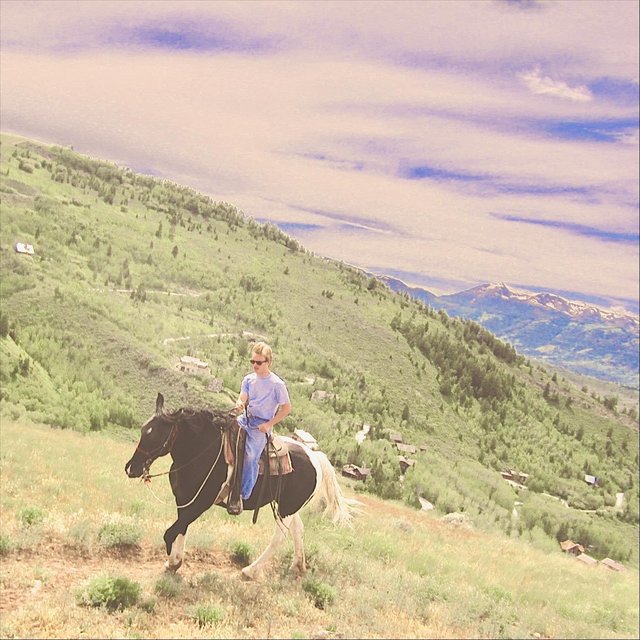 I Just Came Back for My Horse