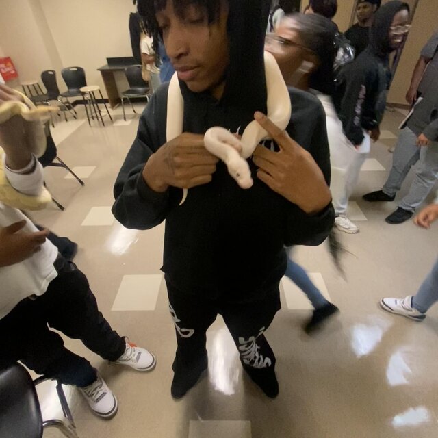 slatt