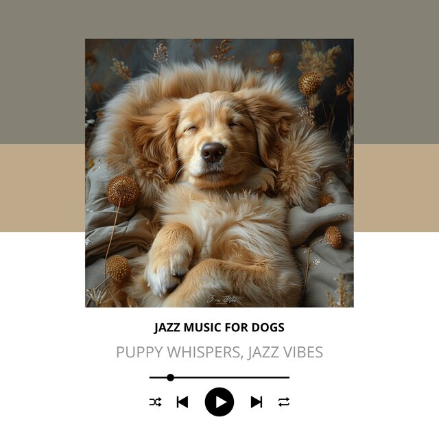 Puppy Whispers, Jazz Vibes